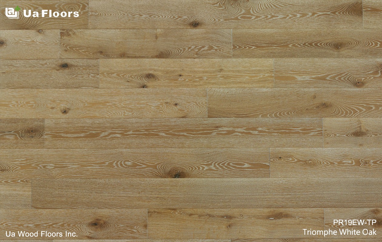 Ua Floors - PRODUCTS|Triomphe White Oak Engineered Hardwood Flooring